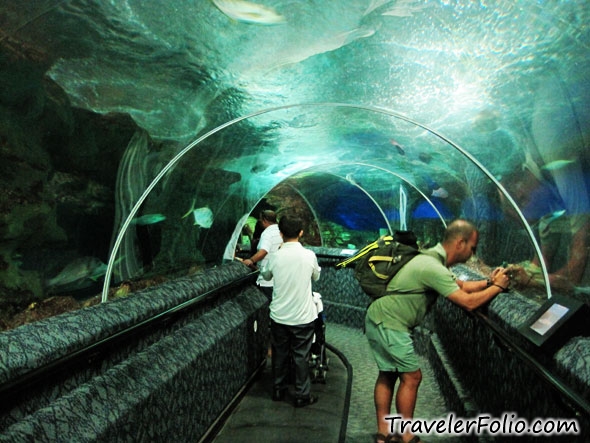 Underwater-world-sentosa