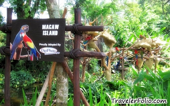 macaw-island