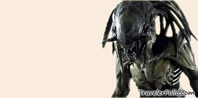 predator-alien-picture