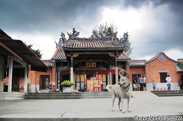 penang-snake-temple