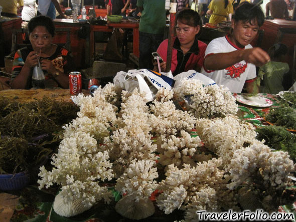 coral-seaweed-sale