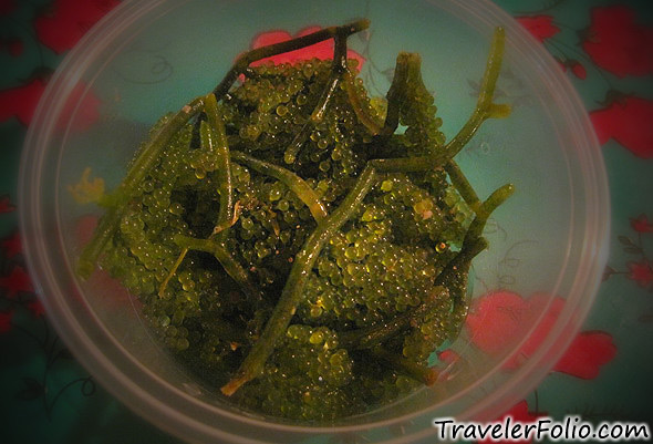 fresh-lato-seaweed