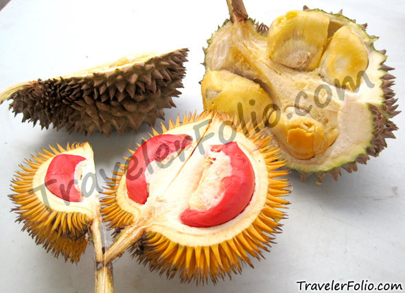 yellow-flesh-durian-vs-red-fresh-durian