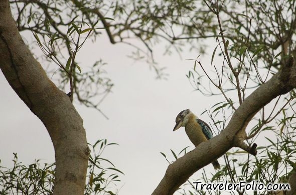 kakadu travel blog