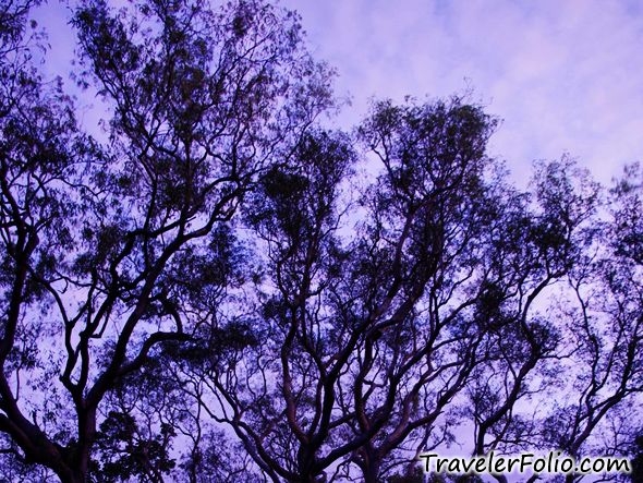 kakadu travel blog