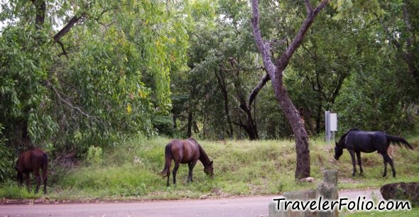 kakadu travel blog