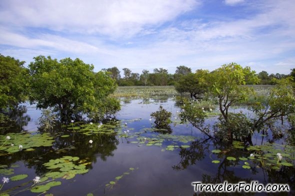 Kakadu National Park: World Famous Yellow Water Billabong - Travel Blog ...