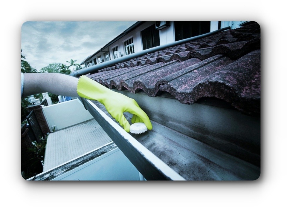 RoofTop-Gutter-dengue-wipeout