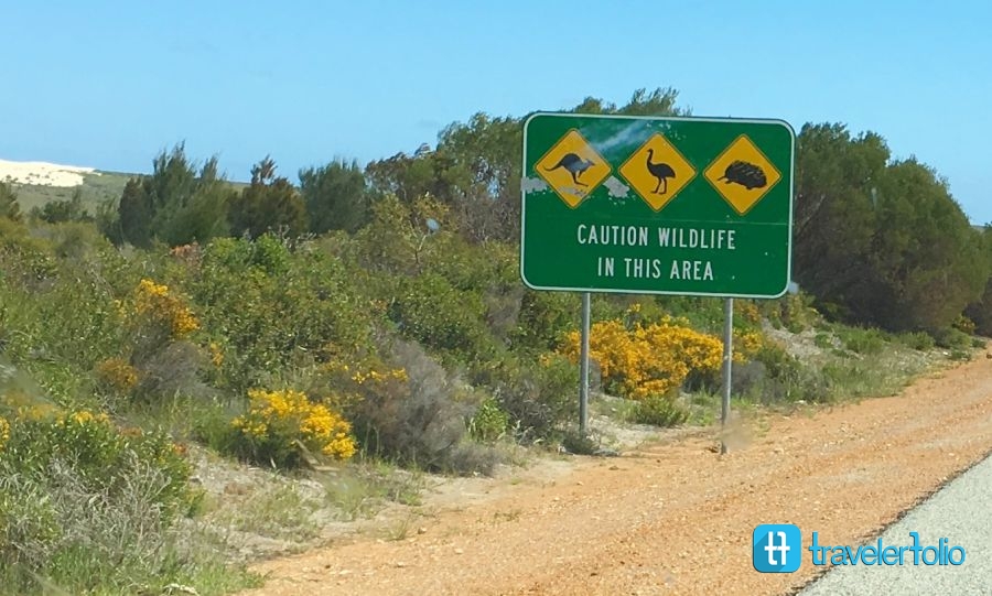 wildlife-road-sign-western-australia