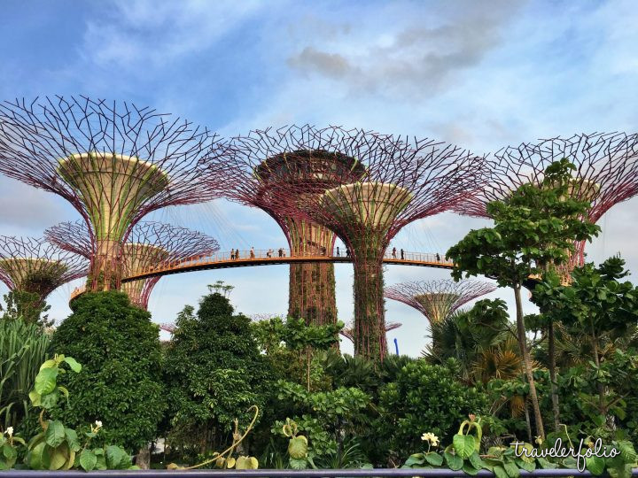 supertrees at gardens by the bay