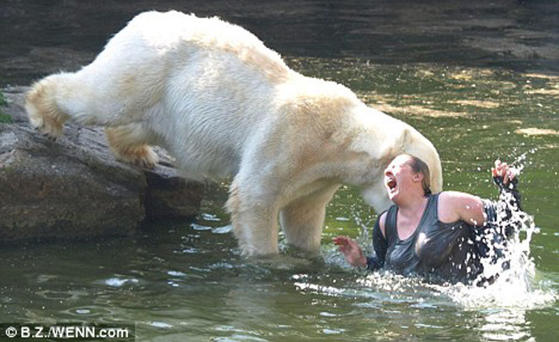polar-bear-attack-woman